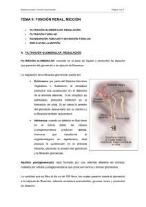 TEMA I: FUNCIÓN RENAL