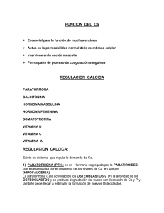 FUNCION DEL Ca