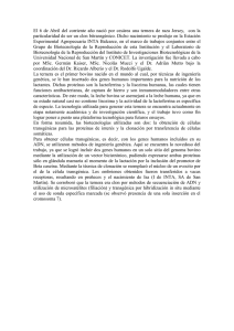El 6 de Abril del corriente año nació por cesárea una
