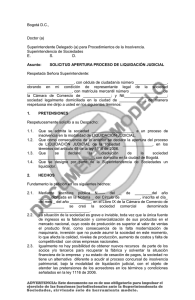 Modelo de solicitud de liquidación judicial (sin apoderado)