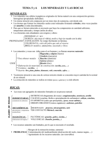 TEMA 8 LAS ROCAS - remigiofernandezleon