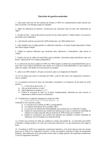 Ejercicios de genética molecular