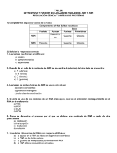 Ácidos Nucleicos, Regulación Génica y Síntesis de Proteínas