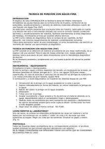 TECNICA DE PUNCION CON AGUJA FINA INTRODUCCION El