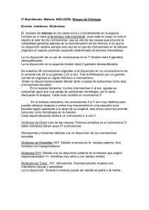 Errores meióticos. Síndromes