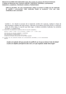 Preguntas Selectividad Metabolismo: Examen Resuelto