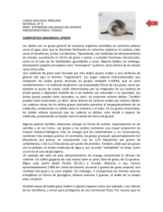 material n° 6 lipidos - Preuniversitario Tongoy