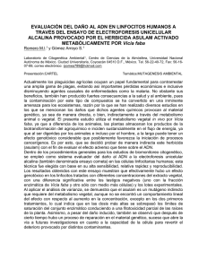 EVALUACIÓN DEL DAÑO AL ADN EN LINFOCITOS HUMANOS A