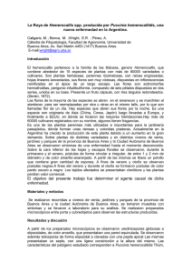 La Roya de Hemerocallis spp. producida por Puccinia