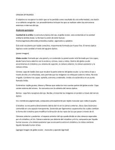 CIRUGIA OFTALMICA El objetivo es recuperar la visión que se ha