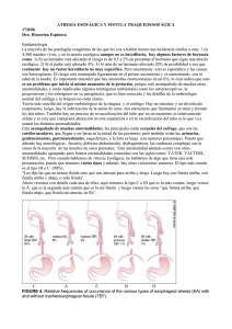 ATRESIA ESOFÁGICA Y FISTULA TRAQUEOESOFÁGICA 17/8/06 Dra. Honorina Espinosa