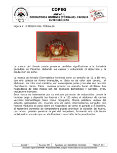 5-Dermatobia Hominis-Rev.00-Anexo 1