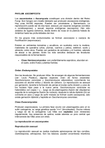 PHYLUM ASCOMYCOTA - Sistema de Información de la UNRC