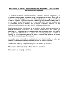 PRODUCCION DE BIOMASA DE HONGOS CELULOLITICOS PARA
