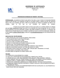 Seguridad Vial Peatonal: Prevención de Riesgos