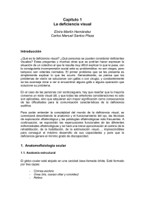 Capítulo 1. La deficiencia visual