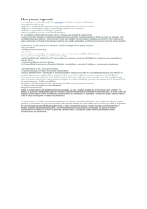 Micro y macro empresarial Rosa Elvia Rubiano