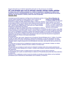 2010_reumaticas_ARTROSIS