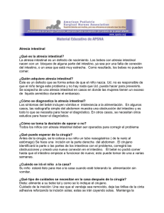 Atresia intestinal ¿Qué es la atresia intestinal?