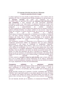 El Amaranto (kiwicha) inca devora a Monsanto Cuando la