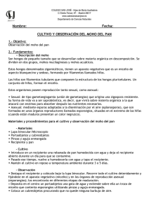 Descarga - Colegio San José