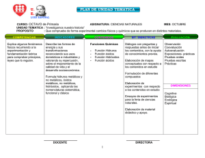 U. PLAN DE UNIDAD TEMATICA E. LUIS ESPINAL CURSO