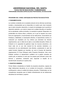 programa del curso: enfoques de proyectos