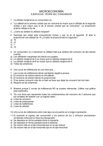 19. Ejercicios Teoría del Consumidor