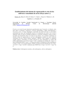 RomeroMariangelis - FACyT
