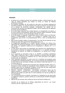 Documento507461 507461