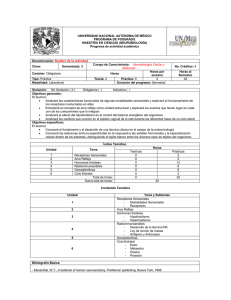 actividades académicas