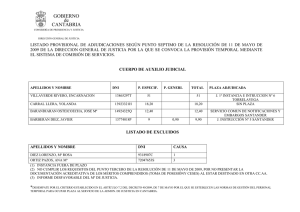 listado provisional de adjudicaciones según punto septimo de la
