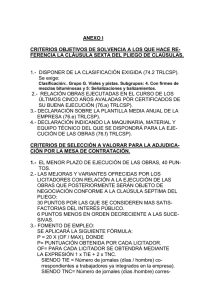 ANEXO I  CRITERIOS OBJETIVOS DE SOLVENCIA A LOS QUE HACE RE-