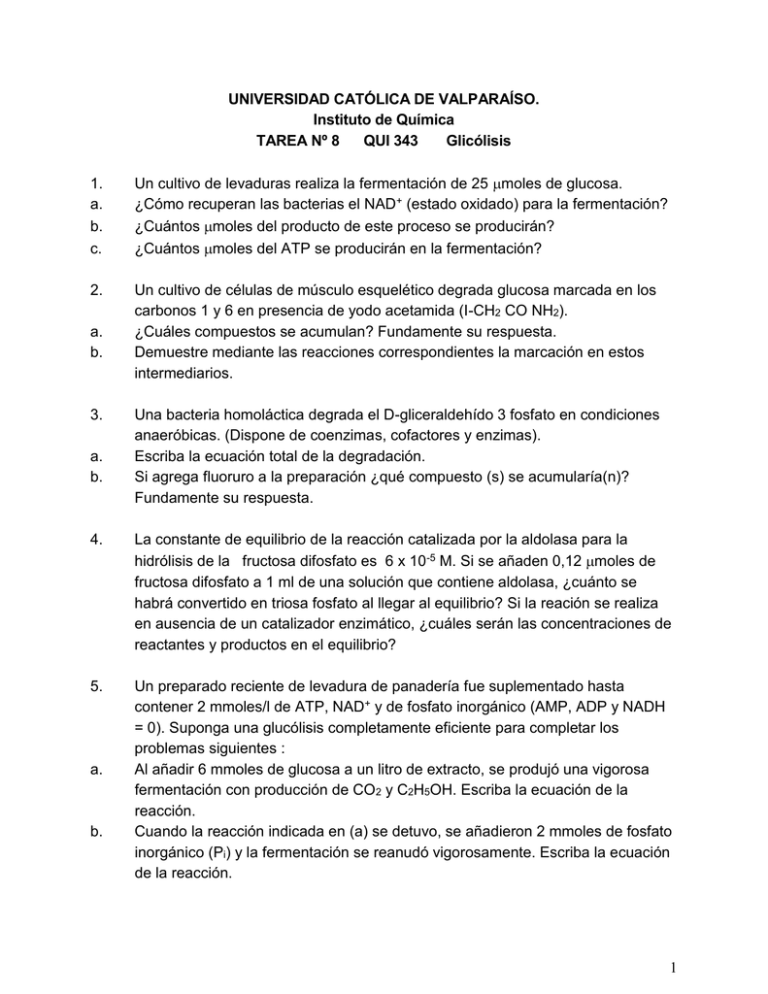 TareaN 08 gli