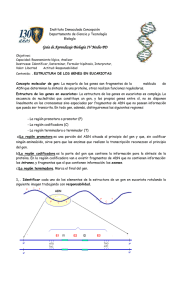 estructura en eucariotas - Instituto Inmaculada Concepción