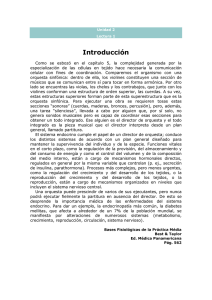 Introducción