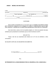 ANEXO II- MODELO DE INSTANCIA
