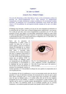 Capítulo 9: EL OJO Y la VISION [TAC1]