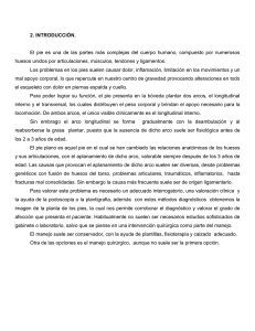 2. INTRODUCCIÓN. El pie es una de las partes más complejas del