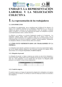 Unidad 5-Representación Laboral