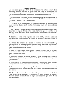 Alimentos anticáncer