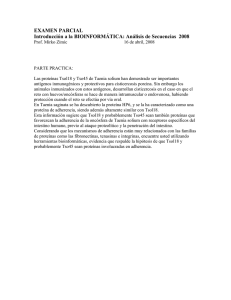 Examen parcial 1 P (2008)
