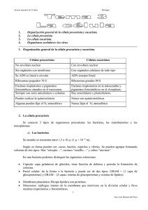 Tema3 - acceso25biologia