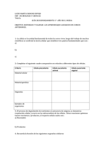 guía para primer año medio - Liceo Marta Donoso Espejo