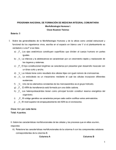 Morfo I (14)
