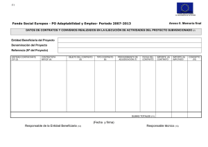 Memoria-Final--Anexo-II-Contratacion-externa (DOC
