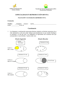 Documento622778 622778