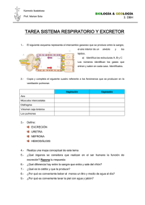 TAREA SISTEMA RESPIRATORIO Y EXCRETOR  LOGÍA &amp; LOGÍA