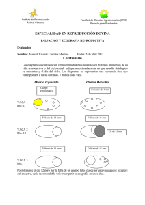 Documento632027 632027