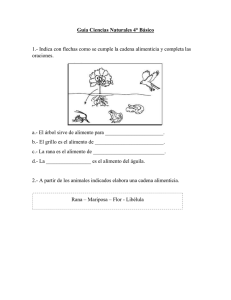 Guía Cuarto Básico